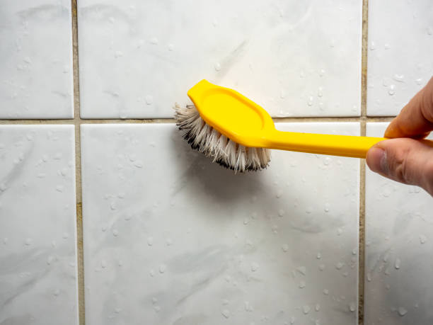 Best Toxic Mold Removal  in Connersville, IN