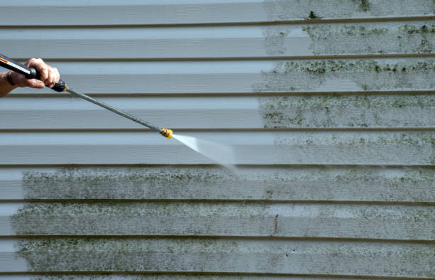 Best Crawl Space Mold Removal  in Connersville, IN