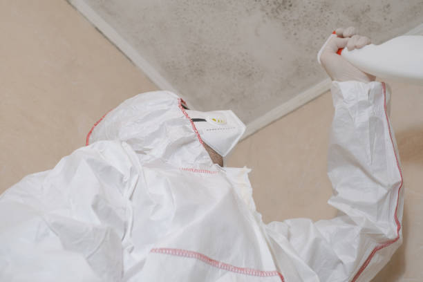 Best Residential Mold Removal  in Connersville, IN